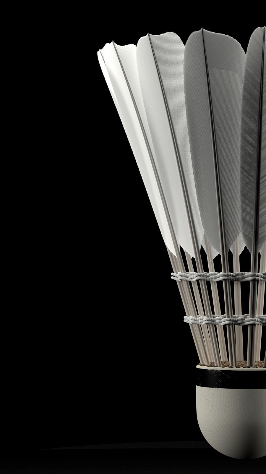 桑巴军团 桑巴军团